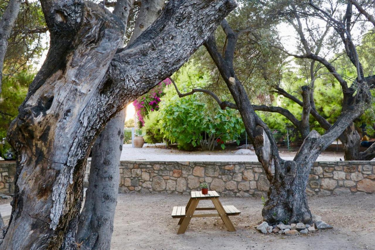 Pyrgos Ralli Estate Guesthouse Aegina المظهر الخارجي الصورة