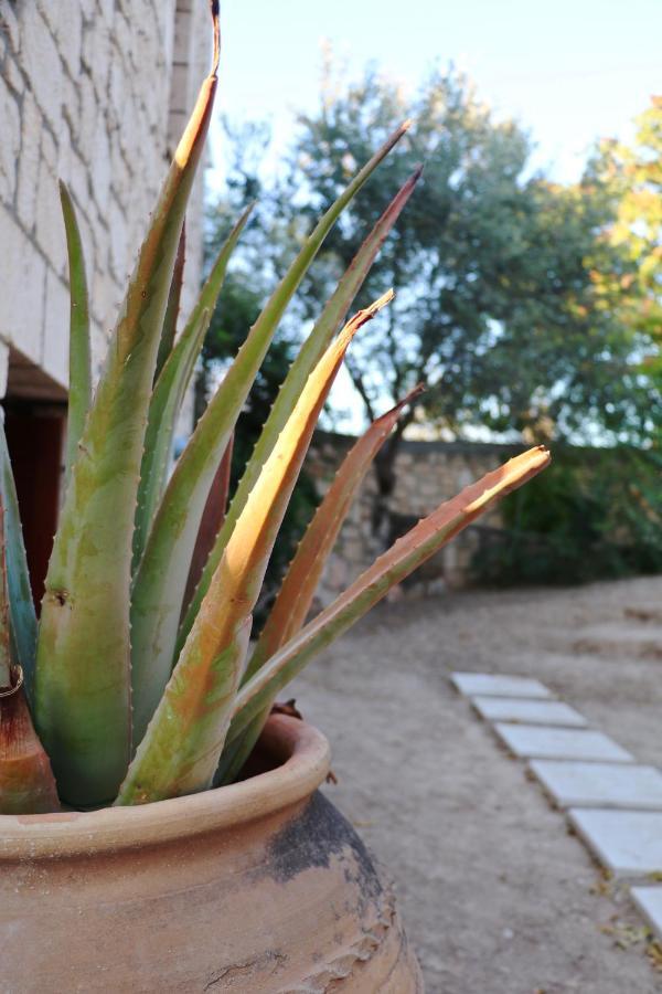 Pyrgos Ralli Estate Guesthouse Aegina المظهر الخارجي الصورة